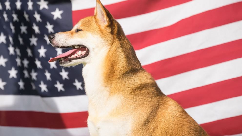 Presidential Pets: A List of US Presidents & Their Furry Companions.