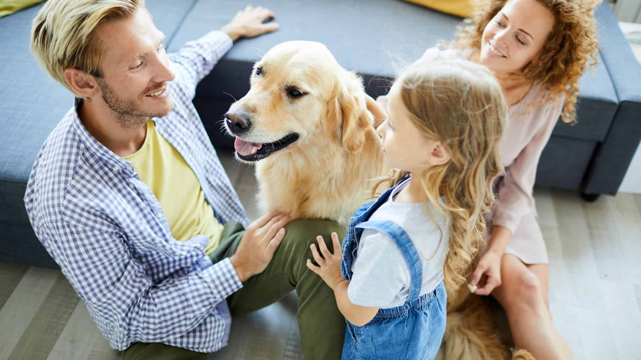 10 Best Dog Breeds for Families With Kids