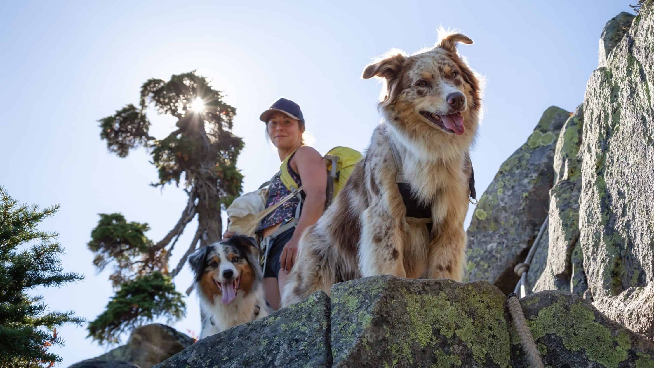 Female hiker with two dogs