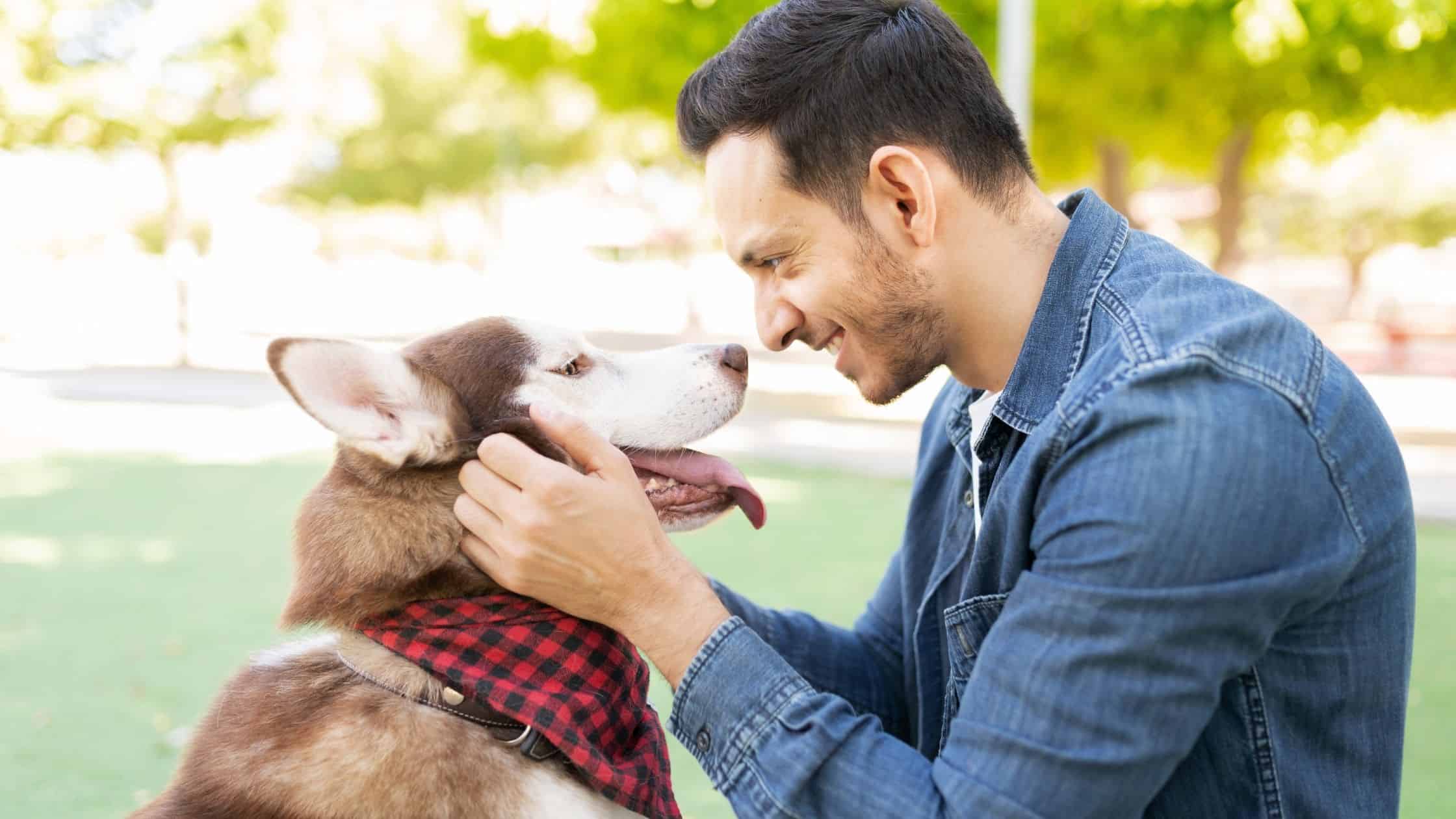 How your pets are also taking care of your mental health